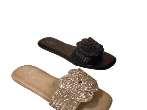 176 SANDALIA PLANA BRILO 36-41